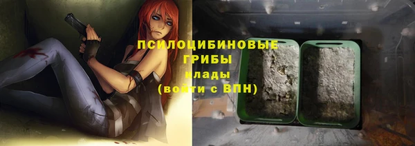 дурь Карпинск