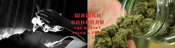 дурь Карпинск