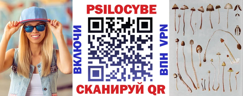 Галлюциногенные грибы MAGIC MUSHROOMS цены Ессентуки