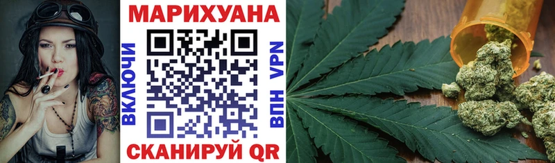 Конопля конопля Ессентуки